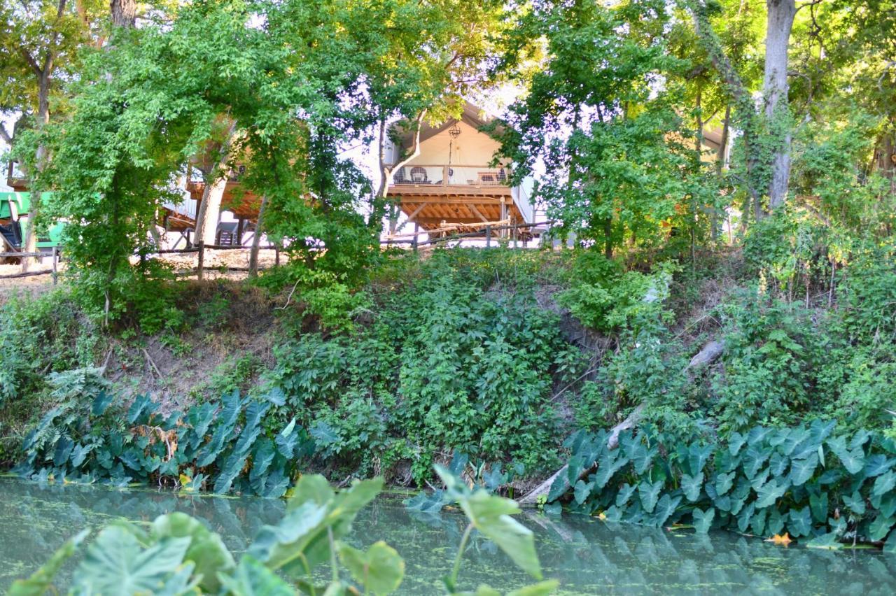 Son'S Rio Cibolo Birdhouse Cabin #10 Romantic Water Front Cabins Surrounded By Nature! Marion Экстерьер фото